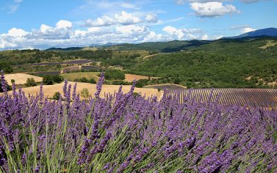 Préparez vos vacances au Mas des îles en Provence occitane