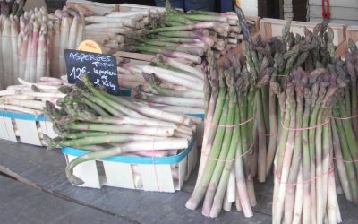 Venez déguster les asperges au Mas des îles