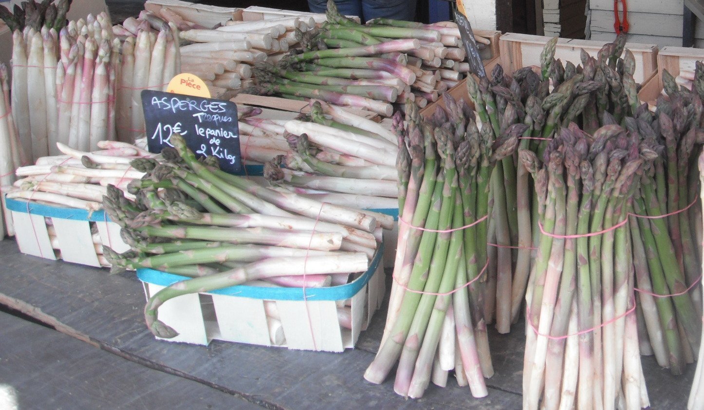 Venez Deguster Les Asperges Au Mas Des Iles Gites Et Chambre Hotes Le Mas Des Iles