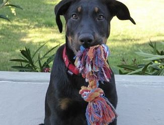 Exclusif: la balade de Zumaï autour du Mas des îles