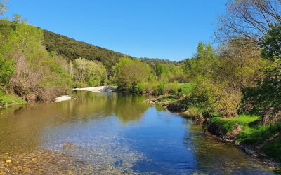 En mai fais ce qu’il te plait…