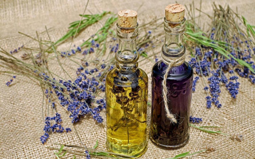 Parfums d’été 1/2