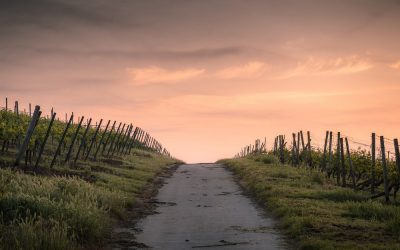 Histoire curieuse et insolite des routes en France