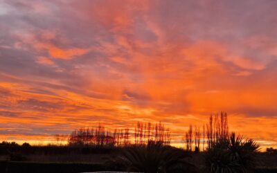 Quelle est la meilleure saison pour visiter la Provence occitane ? ☀️🌻